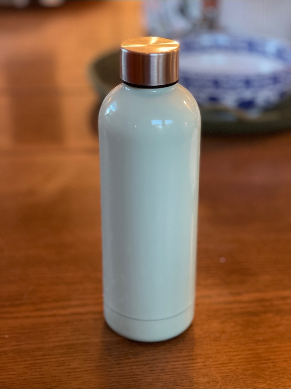 Mint Green Stainless Steel Insulated Water Bottle